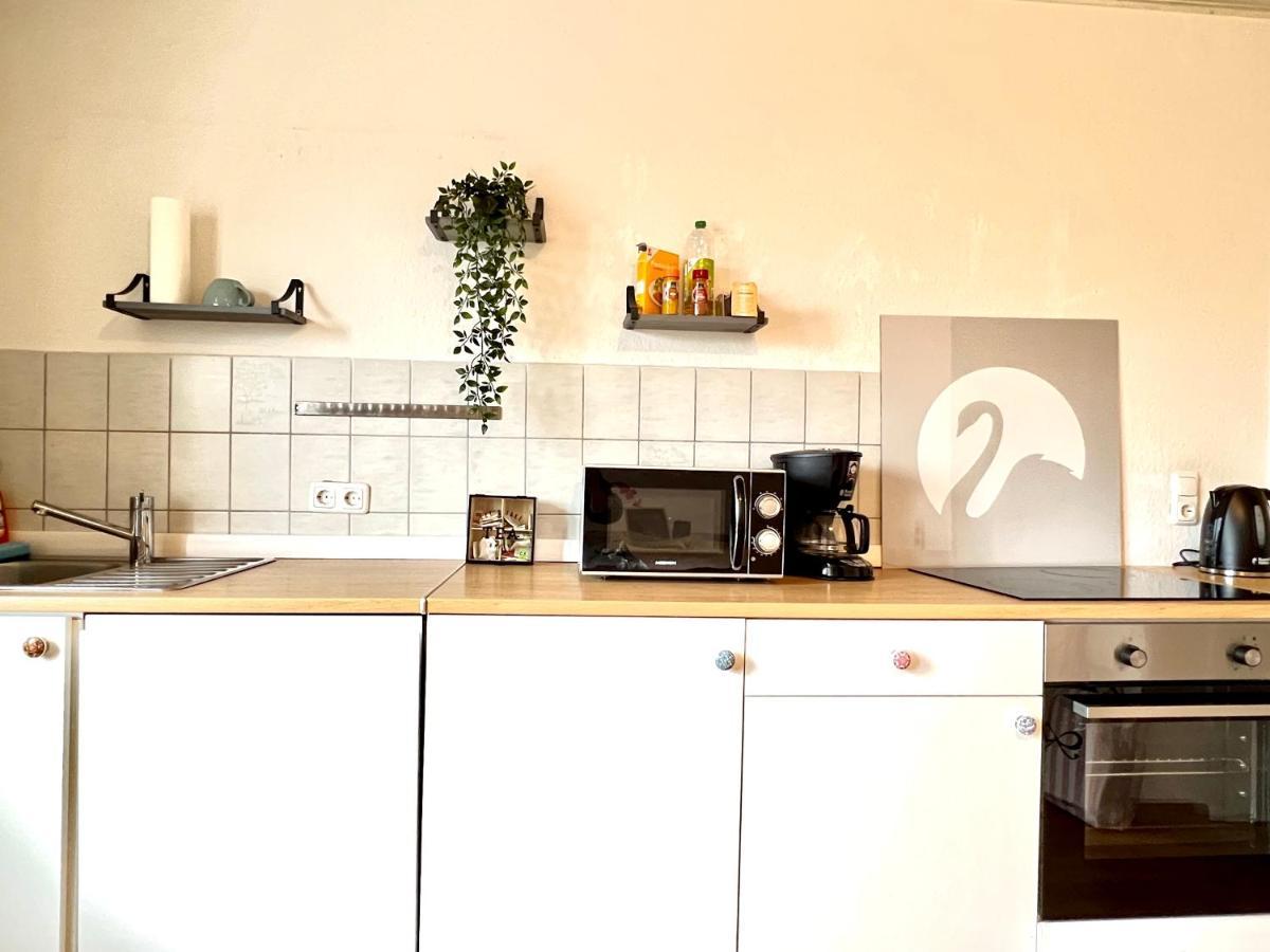 Der Schwan 7 - 3 Schlafzimmer - 2 Balkone - Zentral - 100 Qm Düren - Eifel Exteriér fotografie